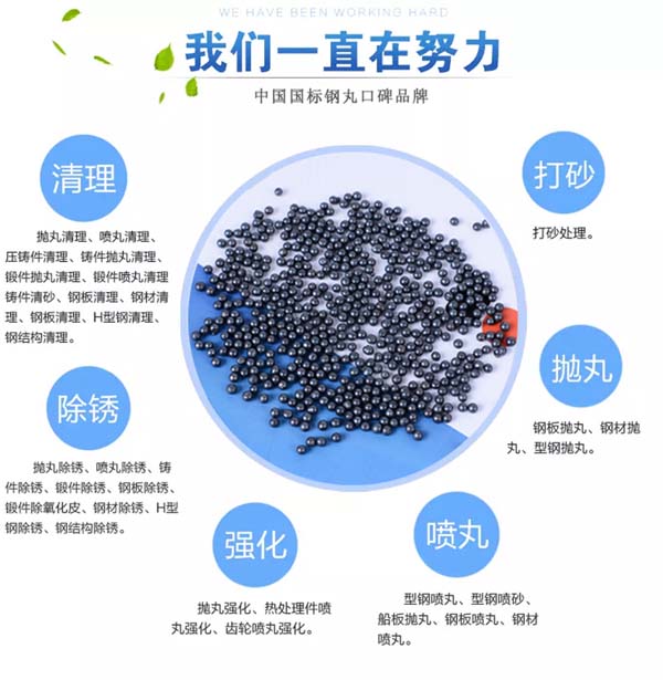 鋼丸介紹